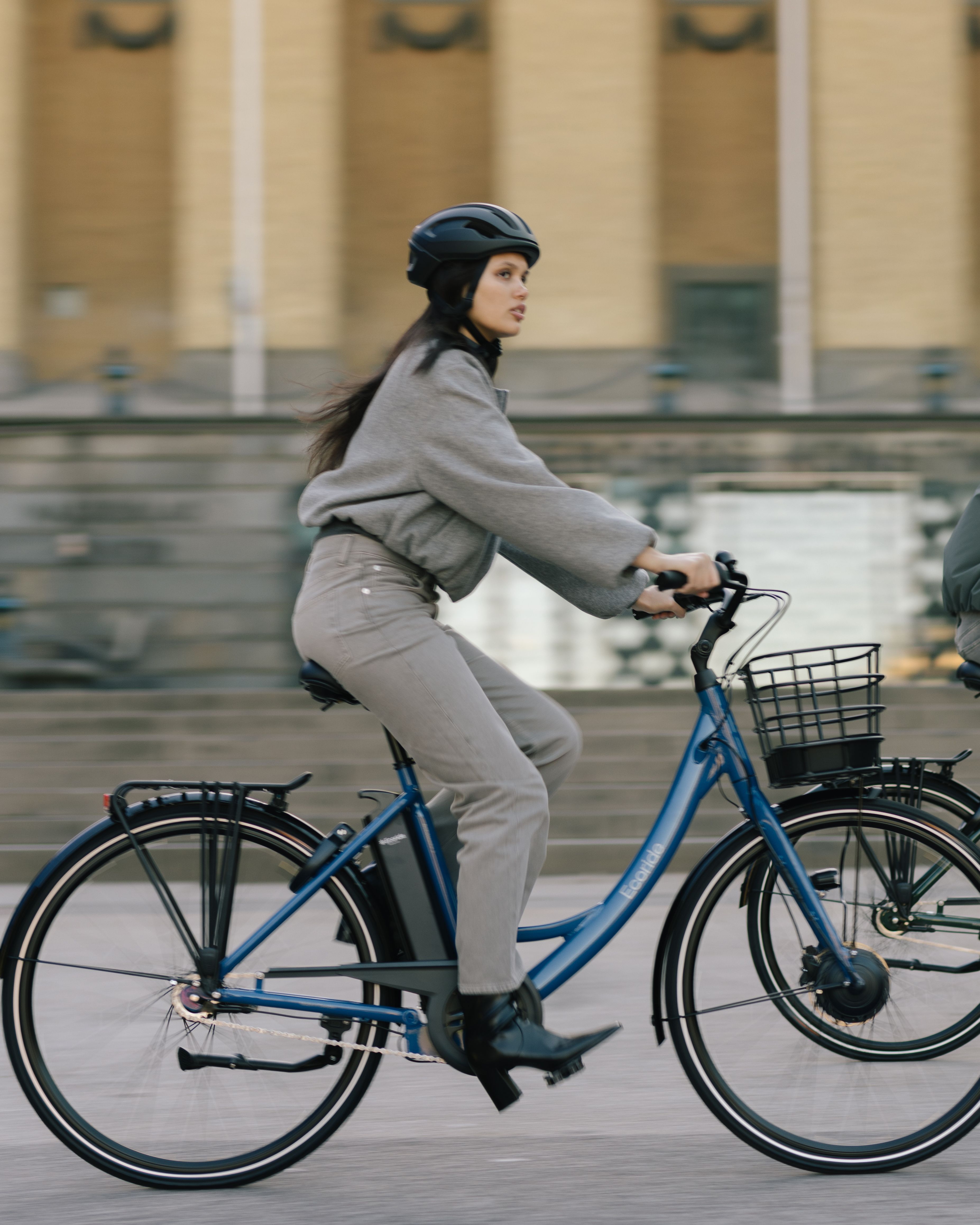 Ecoride Ambassador 3, Hubmotor, Nexus 7 El-Cykel - 6