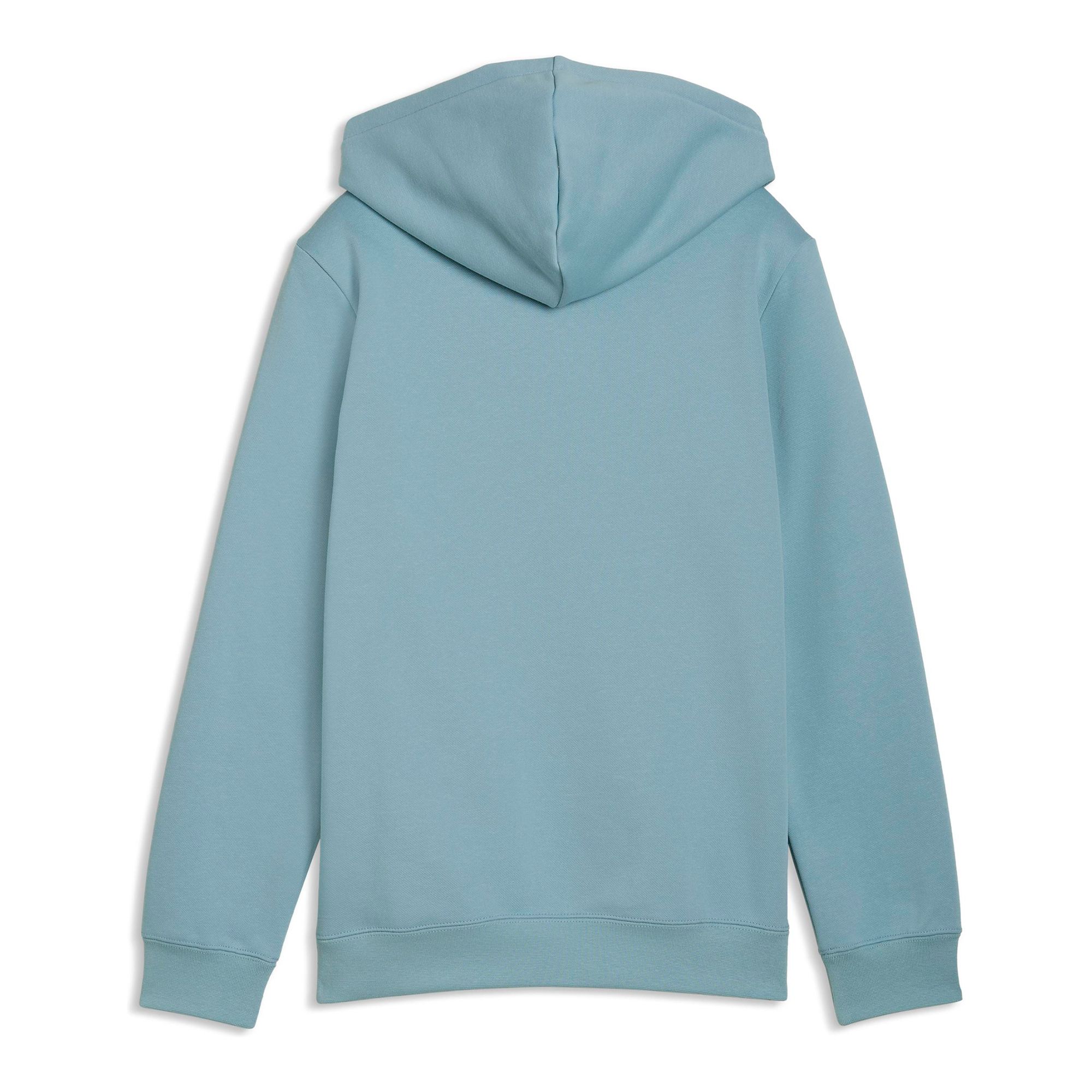 Puma Ess Small No.1 Logo Centered Hoodie FL B Huvtröja - 2