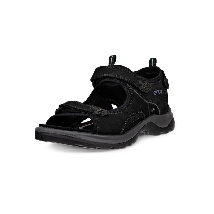 Ecco Offroad Andes II M