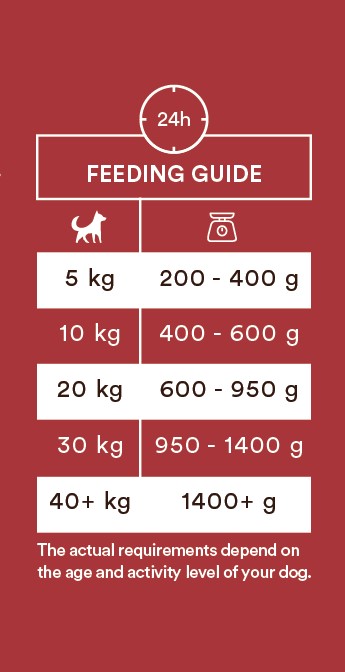Monster Dog Adult våtfoder, Single beef 400g - 2