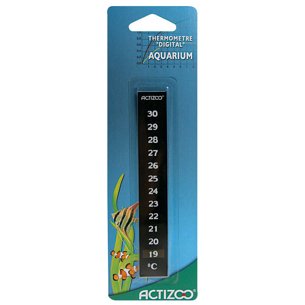 Termometer Digital, Zolux