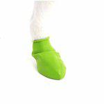 Pawz Dog Boots Color Tiny Apple Green, 12-pack - 2