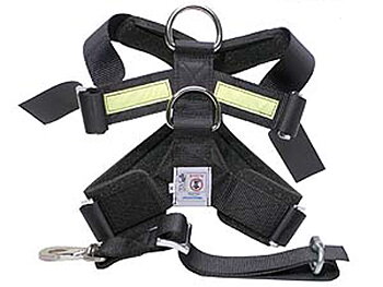 ALLSAFE Säkerhetssele, Large (30-55kg)