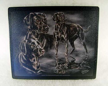 Musmatta, Labrador 24x20cm