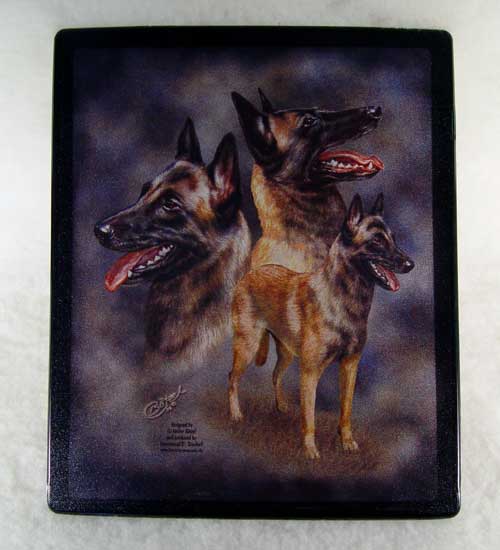 Musmatta, Malinois 24x20cm