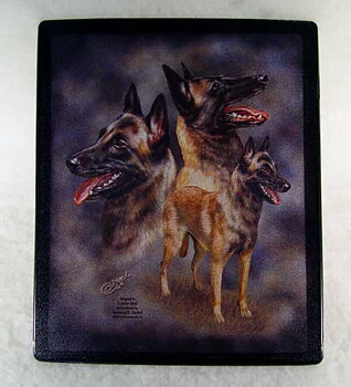 Musmatta, Malinois 24x20cm