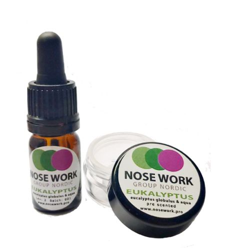 Pre-scented kit Eukalyptus med magnet