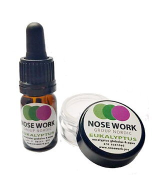 Pre-scented kit Eukalyptus med magnet
