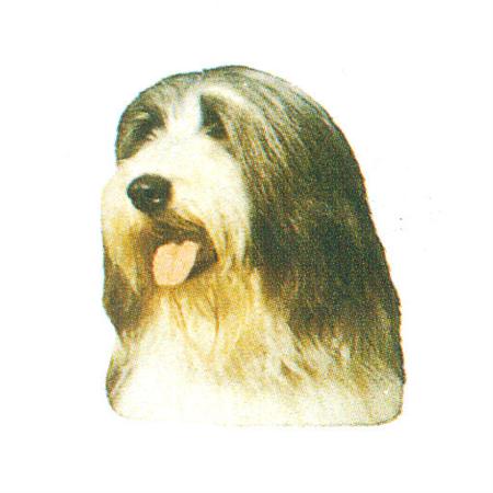 Hunddekal - Bearded collie (huv)
