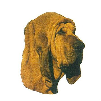 Hunddekal - Blodhund (huv)