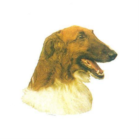 Hunddekal - Borzoi (huv)