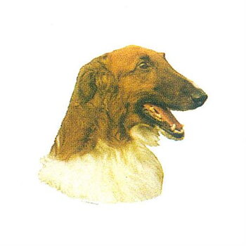 Hunddekal - Borzoi (huv)