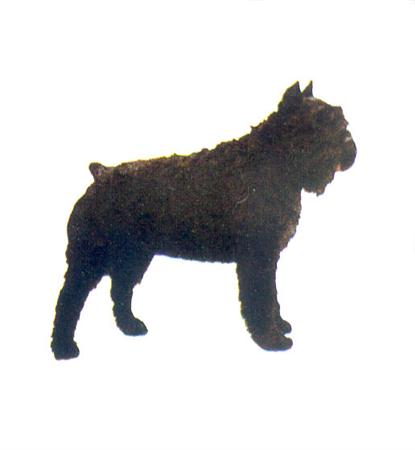 Hunddekal - Bouvier flanders sv (hel)