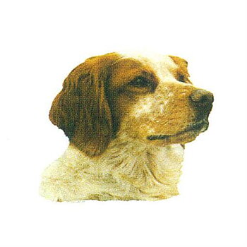 Hunddekal - Breton (huv)