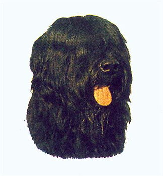 Hunddekal - Briard okup. svart (huv)