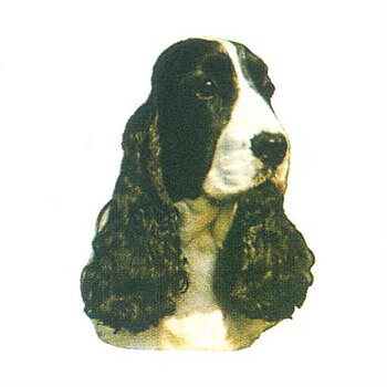 Hunddekal - Cocker spaniel sv/vit (huv)