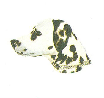 Hunddekal - Dalmatiner (huv)