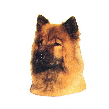 Hunddekal - Eurasier (huv)