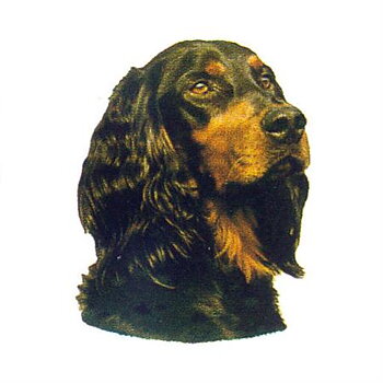 Hunddekal - Gordon setter (huv)