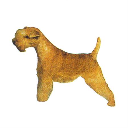 Hunddekal - Lakelandterrier (hel)