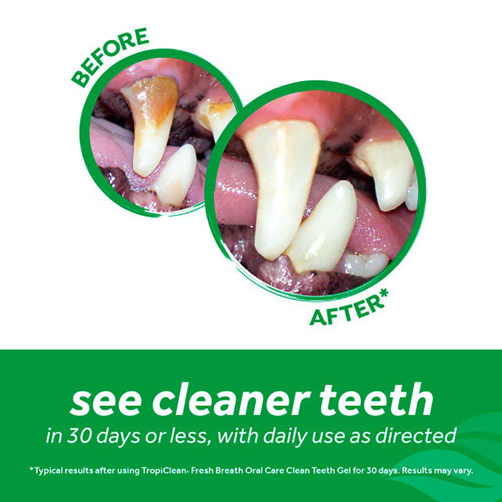 Tropiclean oral care kit - 4
