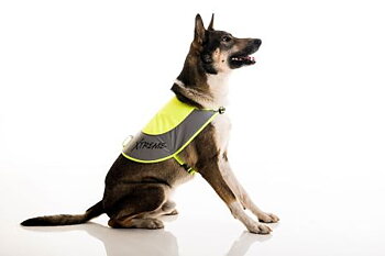 Reflexväst hund, Xtreme