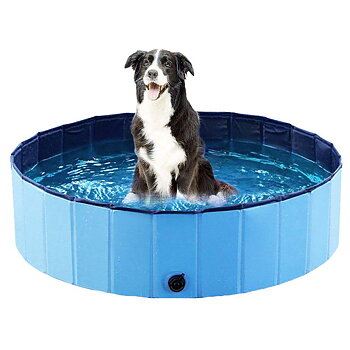 Dog pool, 160x30cm
