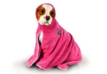 Show Tech Dry Dude, XL, Rosa