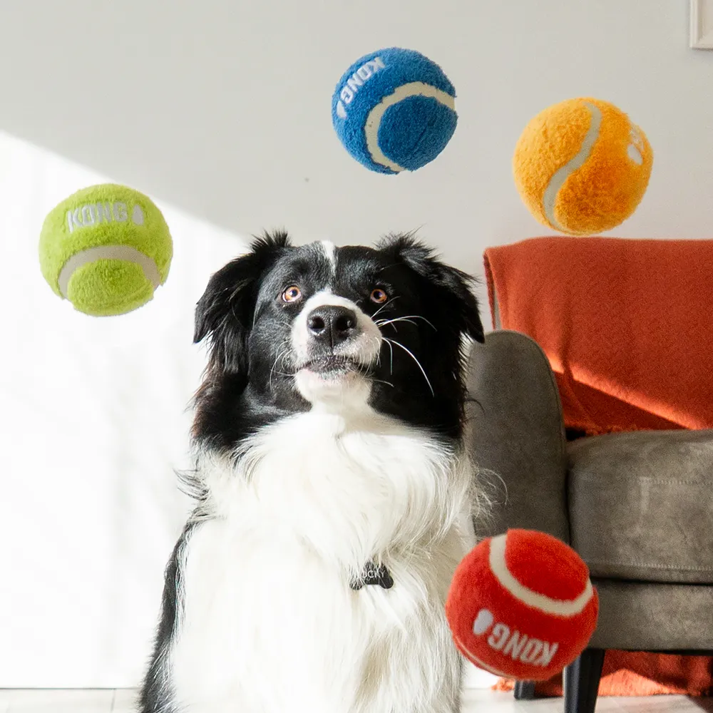 Kong Sport Softies Ball L 2-pack Mix, 7,6cm - 2