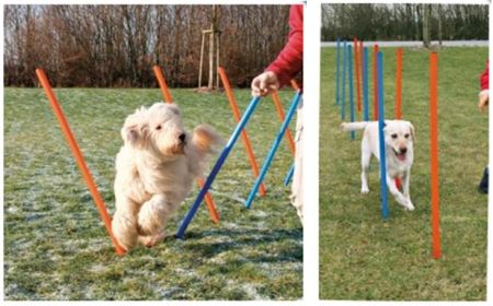 Slalompinnar till agility