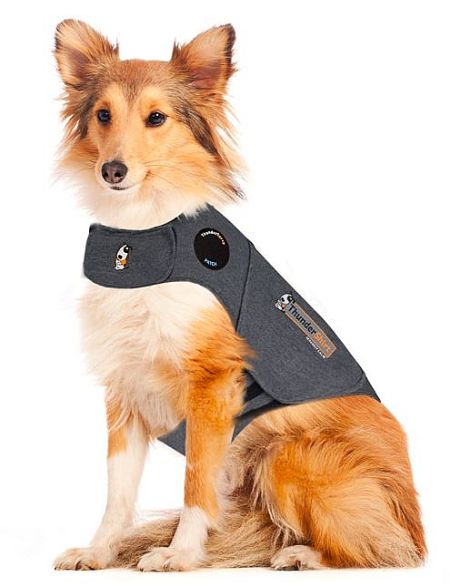 Thundershirt hund, S
