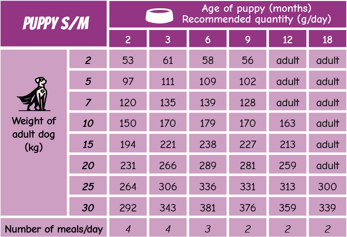 POW! Dog Puppy S/M Pork - 3