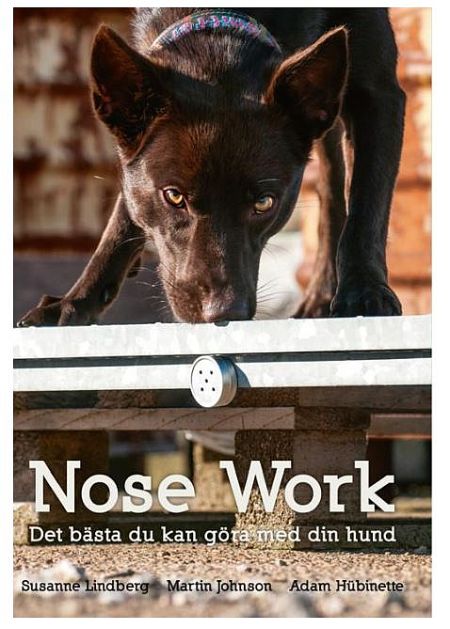 BOK - Nose Work