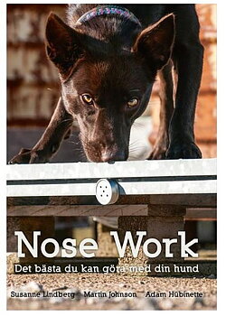 BOK - Nose Work