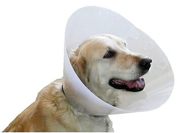 Hundkrage plast