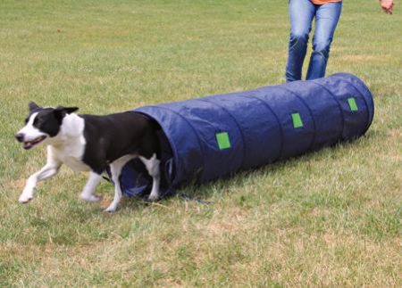 Tunnel 40 x 200cm, agility