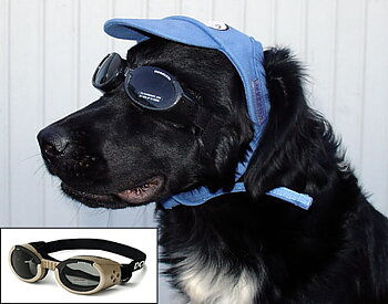 Doggles Glasögon, Large
