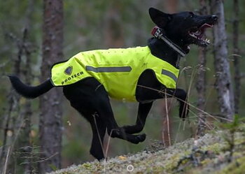 Dogtech one Modular XLarge, gul