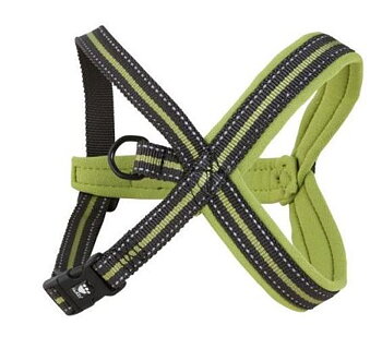 Hurtta Outdoors Y-Sele Björk