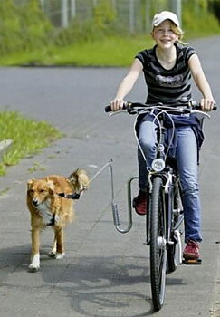 Hållare till cykel Dog Guide