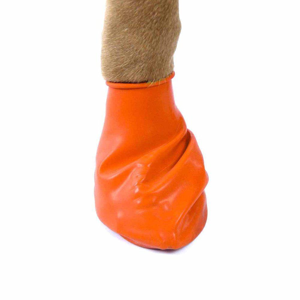 Pawz Dog Boots Color Xs Orange, 12-pack - 2