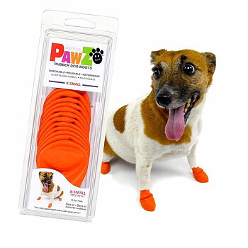 Pawz Dog Boots Color Xs Orange, 12-pack