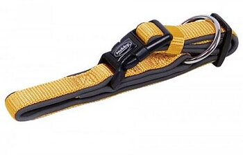 Vadderat halsband, Orange, Preno