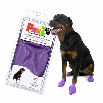Pawz Dog Boots Color L Purple, 12-pack