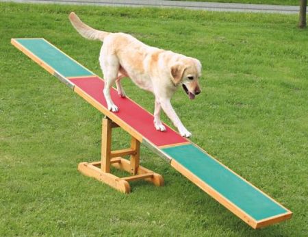 Vippbräda till agility