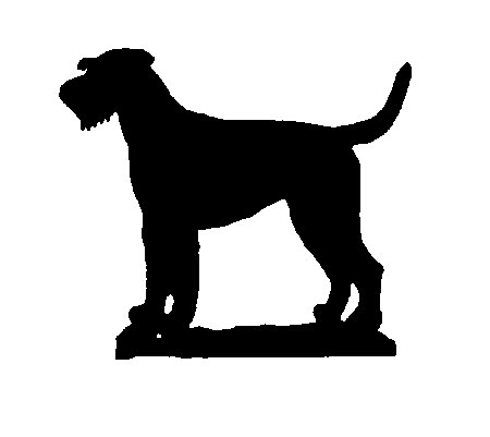 Flöjel, Riesenschnauzer