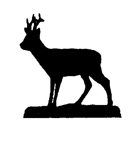Flöjel, rådjur