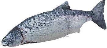 Kattleksak sprattlande fisk, 30cm