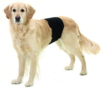 Kisskydd hanhund ca 74x23cm