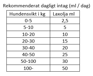 Daglig rekommendation